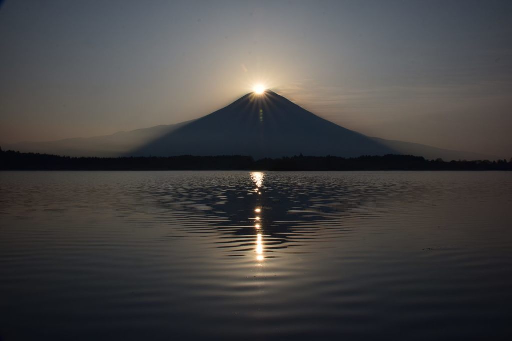 今年もありがとう