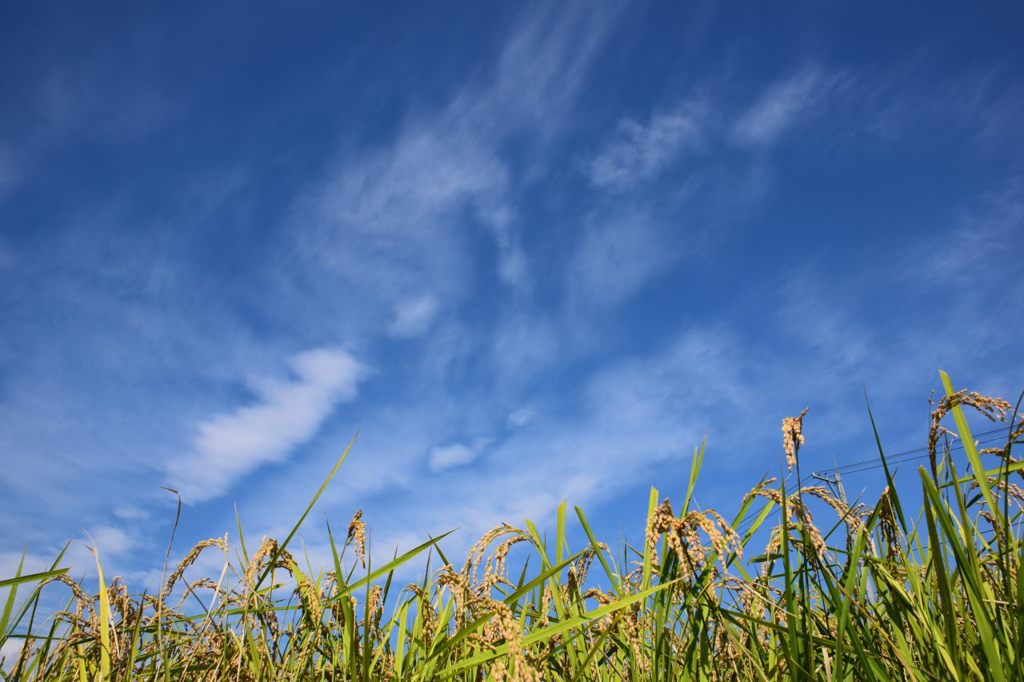 今日の空