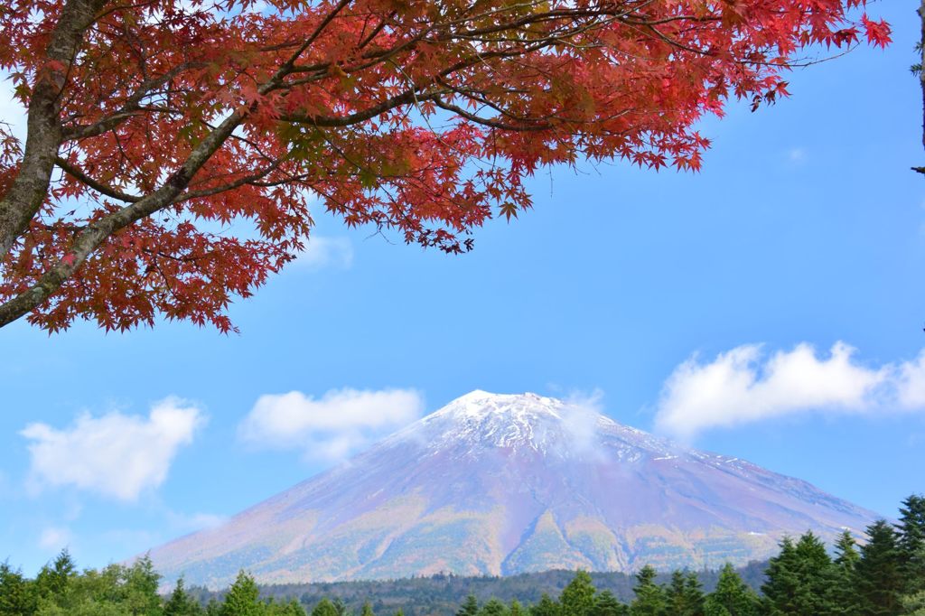 紅葉と富士山