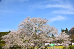 今年もありがとう　♬　