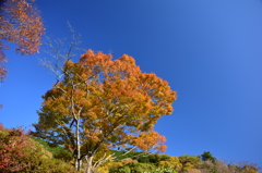 青空と共に