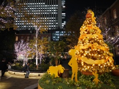 Merry Christmas☆彡