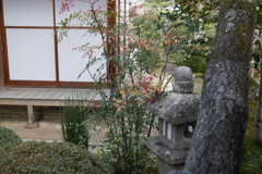 和風庭2