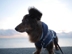 寒風に立ち向かう つもりが......