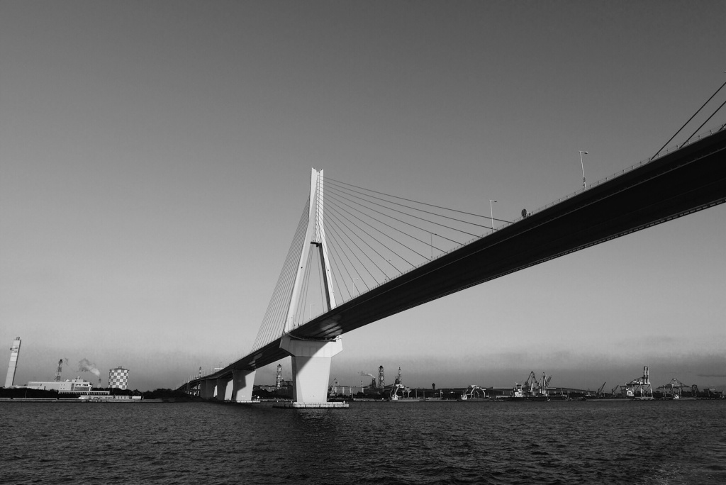 架け橋 2013 to 2014