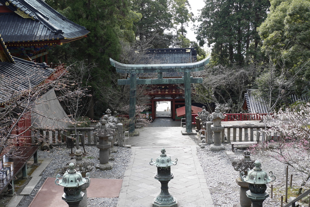 久能山東照宮　唐門から桜門を望む