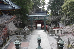 久能山東照宮　唐門から桜門を望む