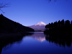 湖と森そして富士山