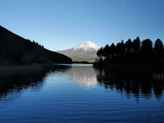 湖と森そして富士山2