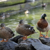 俺だけ違うのカモ