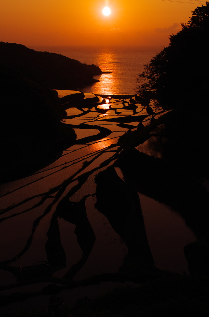 浜野浦の棚田