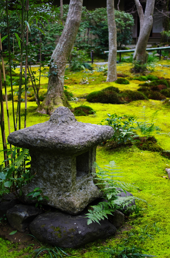 祇王寺