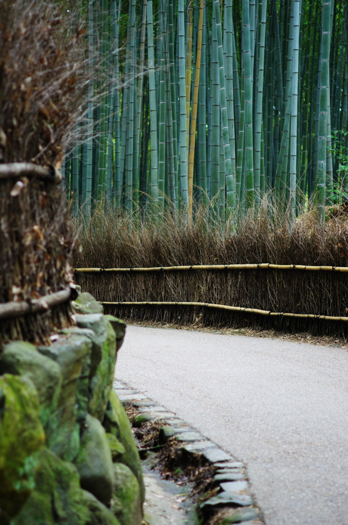 竹林の道