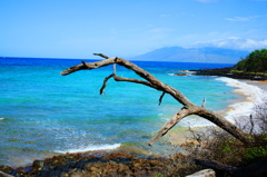 maui
