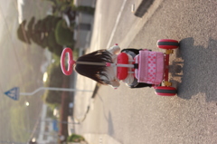 帰り道