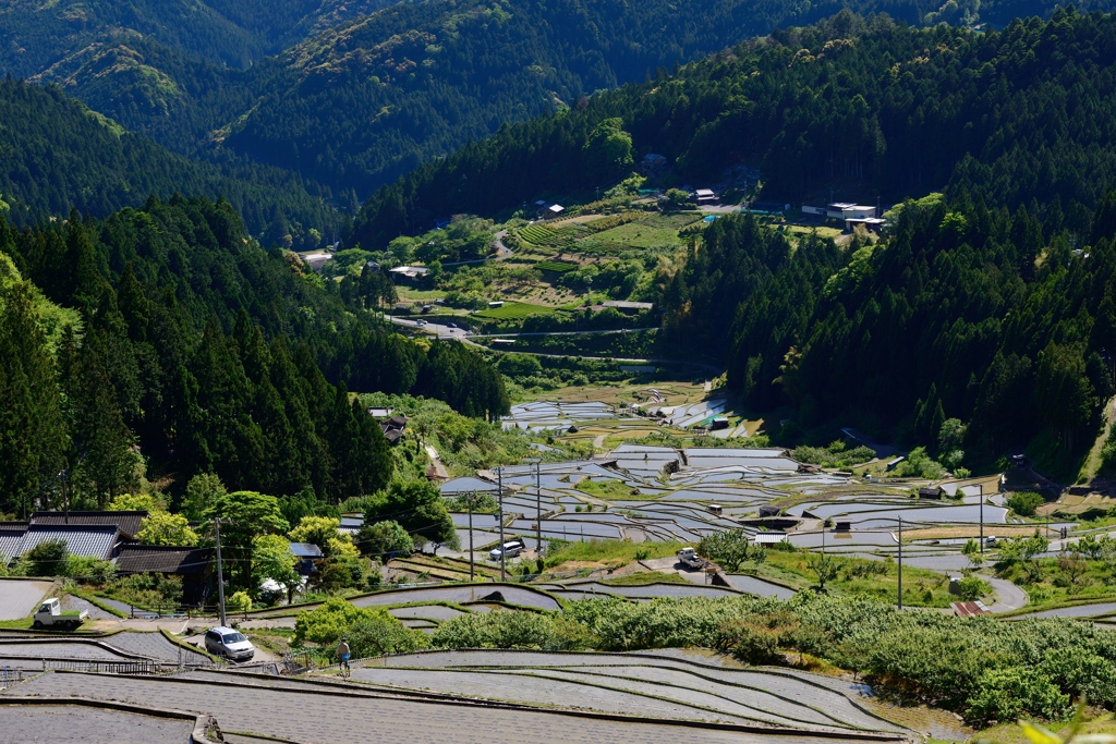 四谷千枚田