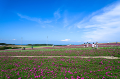 秋空