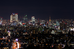 Nagoya night view