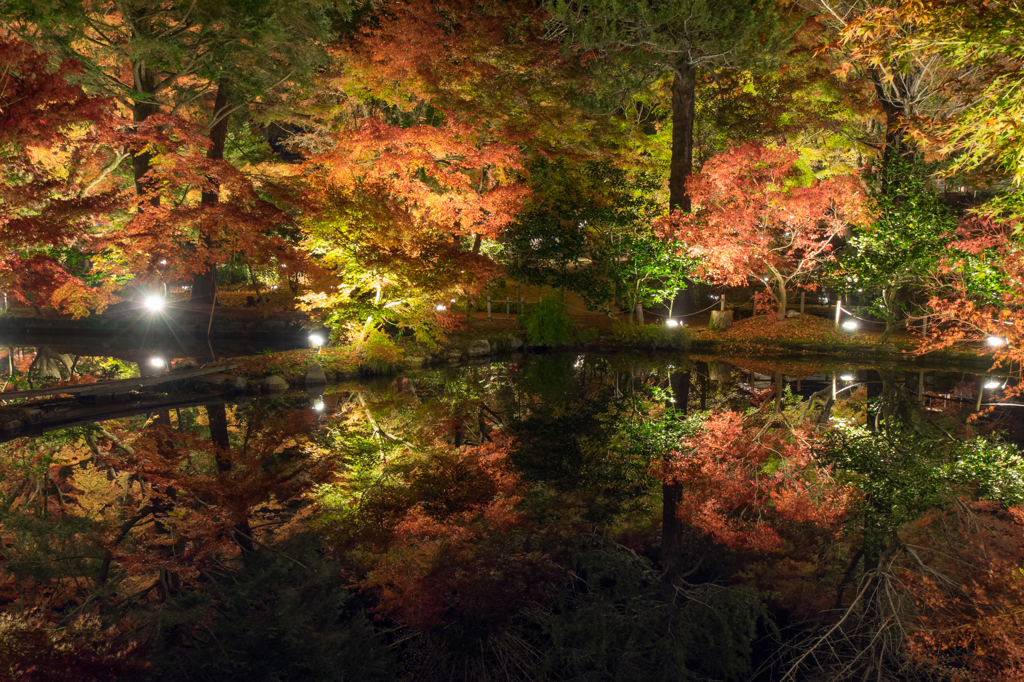 逆さもみじ　～曽木公園～①