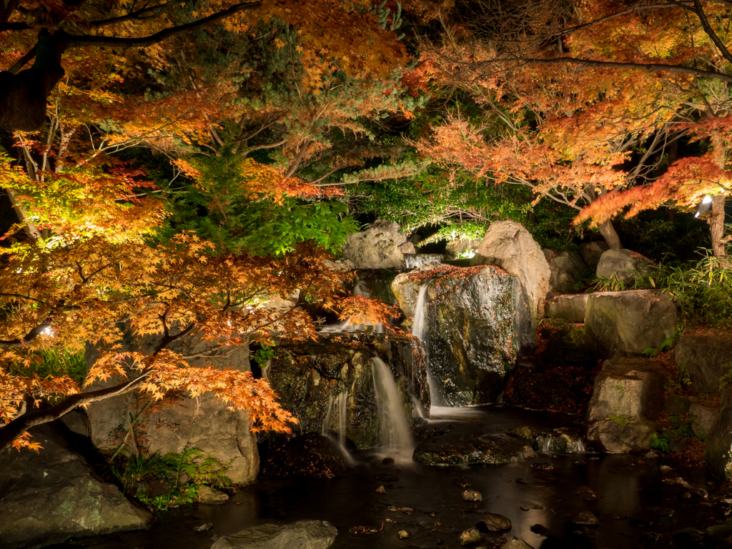 白鳥庭園にて