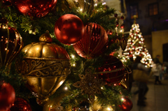 TDSのクリスマス②