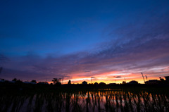 田んぼのある夕景