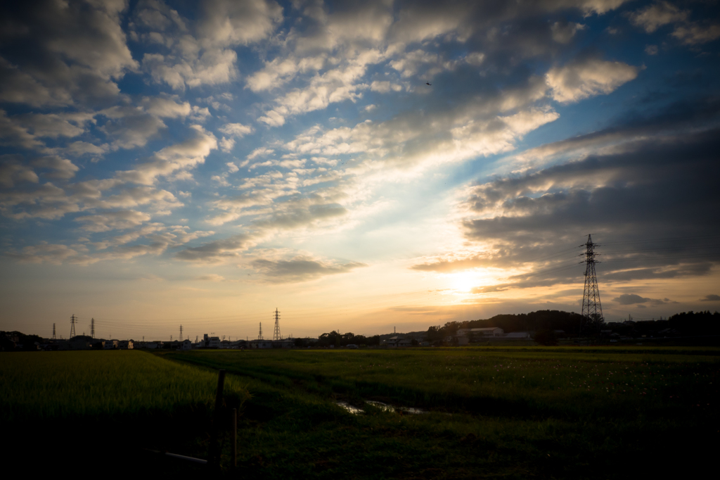 今日の夕陽