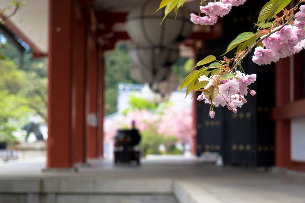 鞍馬寺にて