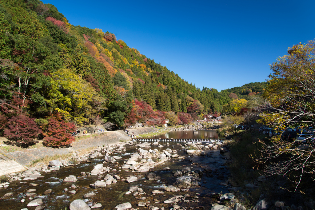 香嵐渓②