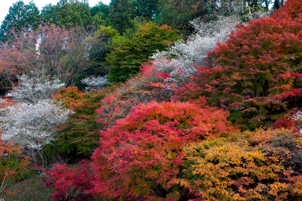 小原ふれあい公園にて