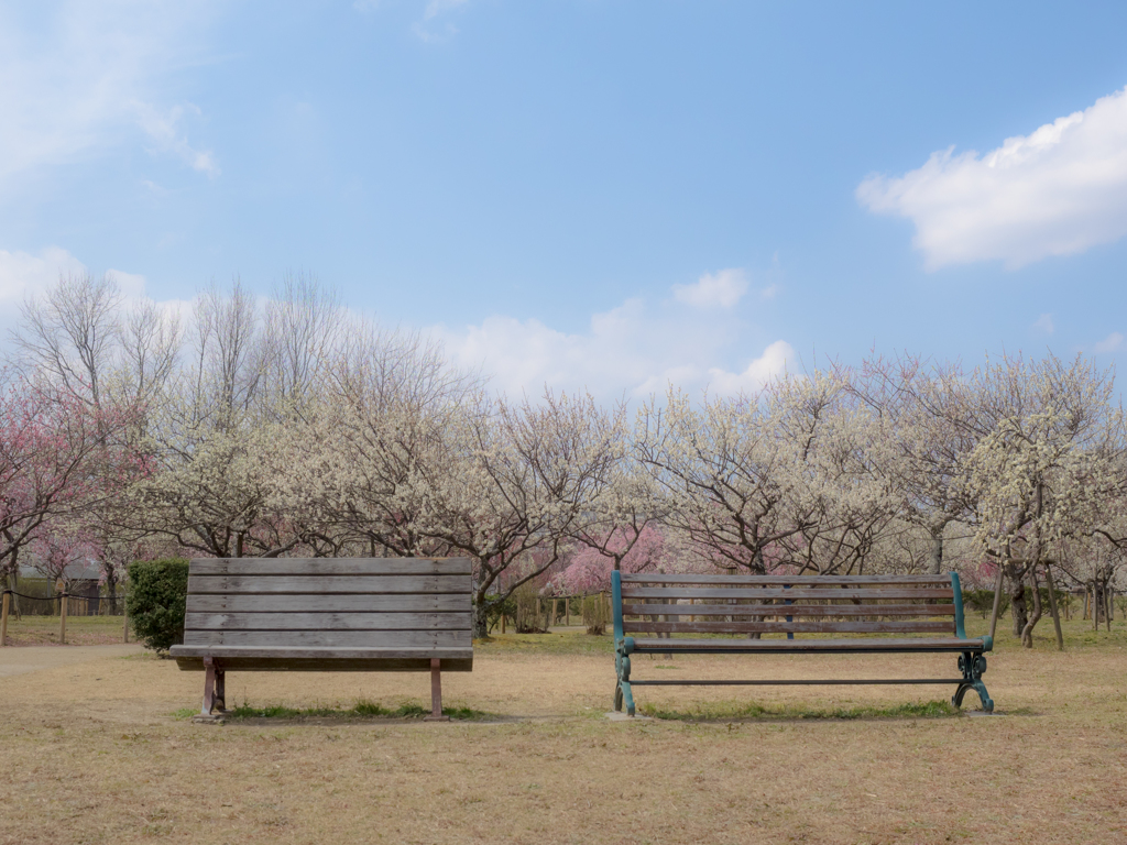 ある日の公園