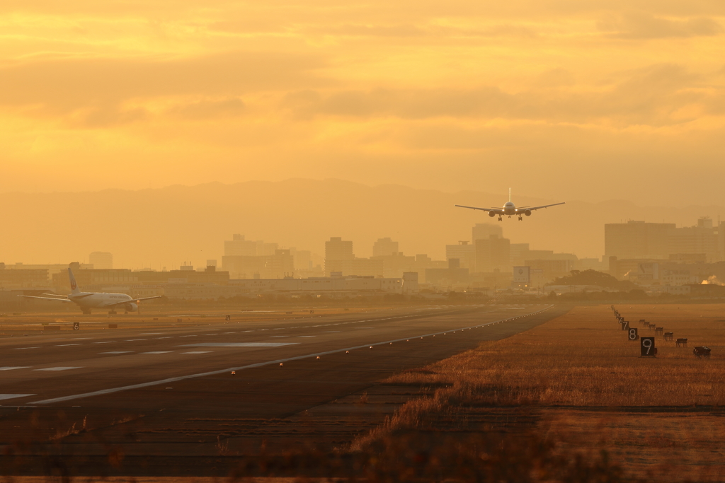 伊丹空港の朝