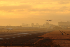 伊丹空港の朝