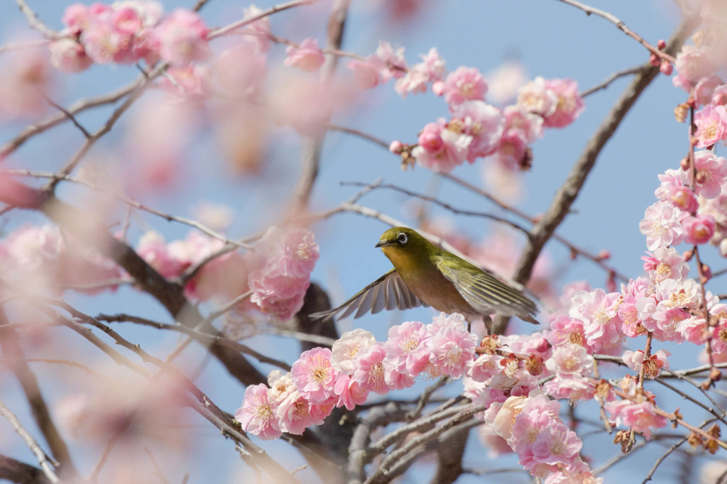 ていくおふ