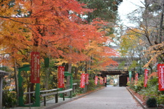 お寺への道
