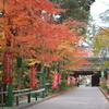 お寺への道