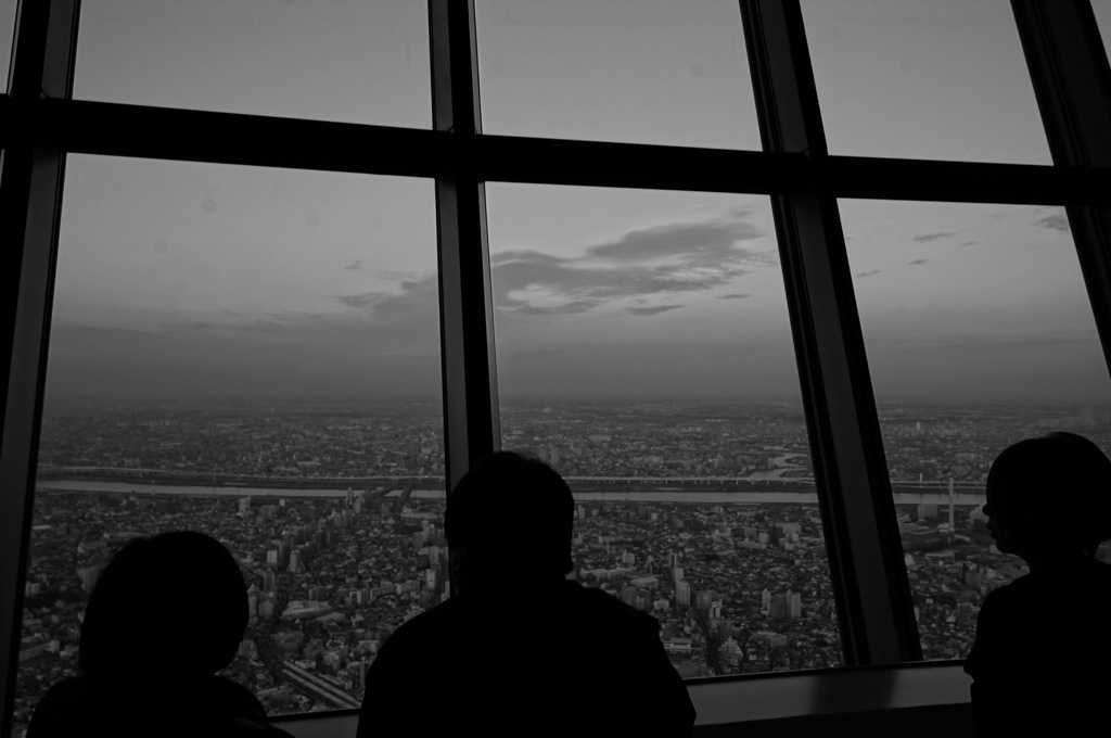 skytree[4]