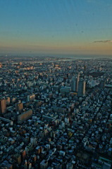 skytree[2]