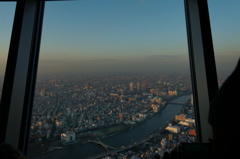 skytree[1]