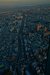 skytree[3]