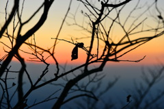 筑波山山頂からの夕焼け02