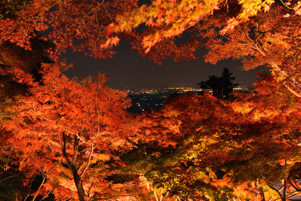 紅葉ライトアップと夜景 By Masazo17 Id 写真共有サイト Photohito