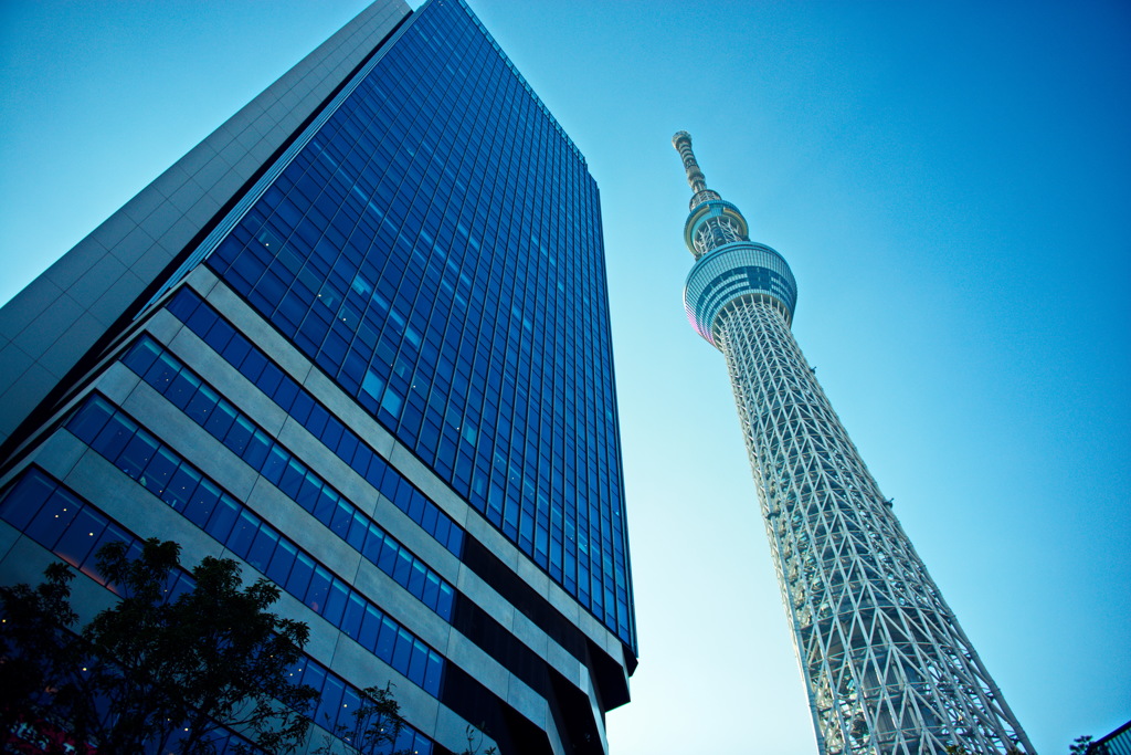 青空スカイツリー