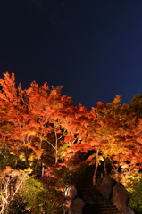 筑波山紅葉ライトアップ01