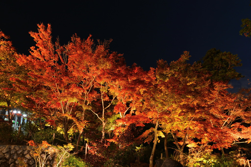 筑波山紅葉ライトアップ02 By Masazo17 Id 写真共有サイト Photohito