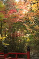 犬鳴山七宝瀧寺
