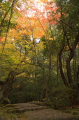 犬鳴山七宝瀧寺