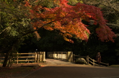 紅葉のトンネル
