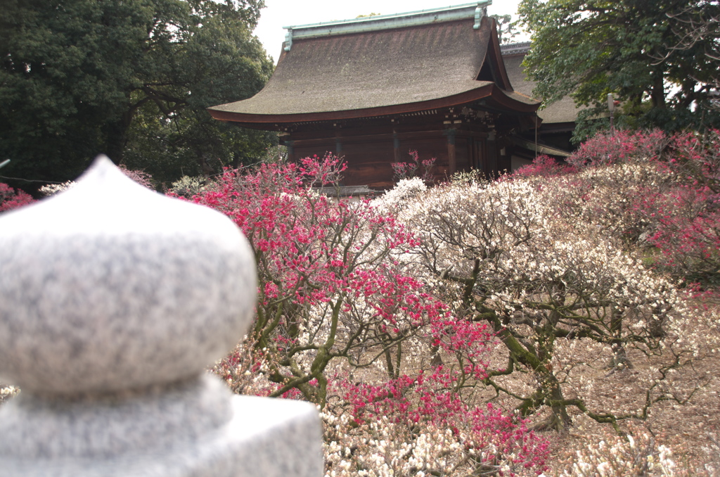 石橋にて