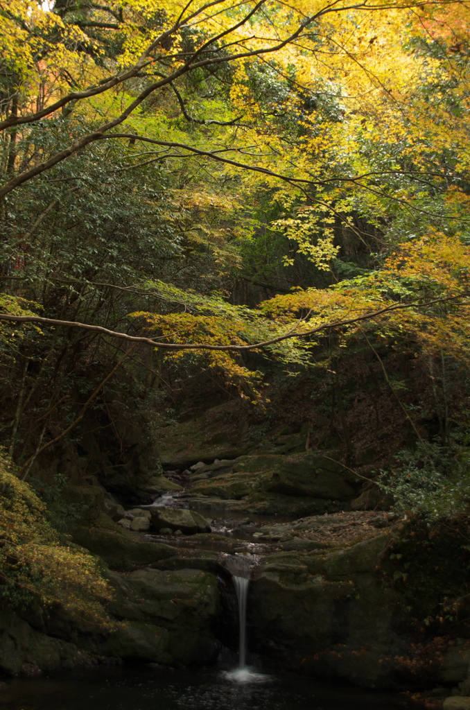 犬鳴山七宝瀧寺